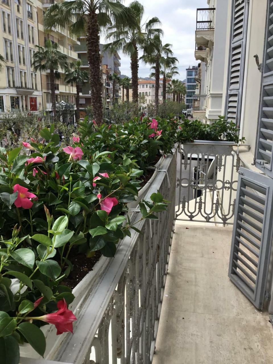 Palazzo Dei Grifoni - Luxury Suites - ซัน เบเนเดตโต เดล ตรอนโต ภายนอก รูปภาพ